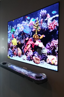 Beautiful LG Wallpaper TV Installed By Summit